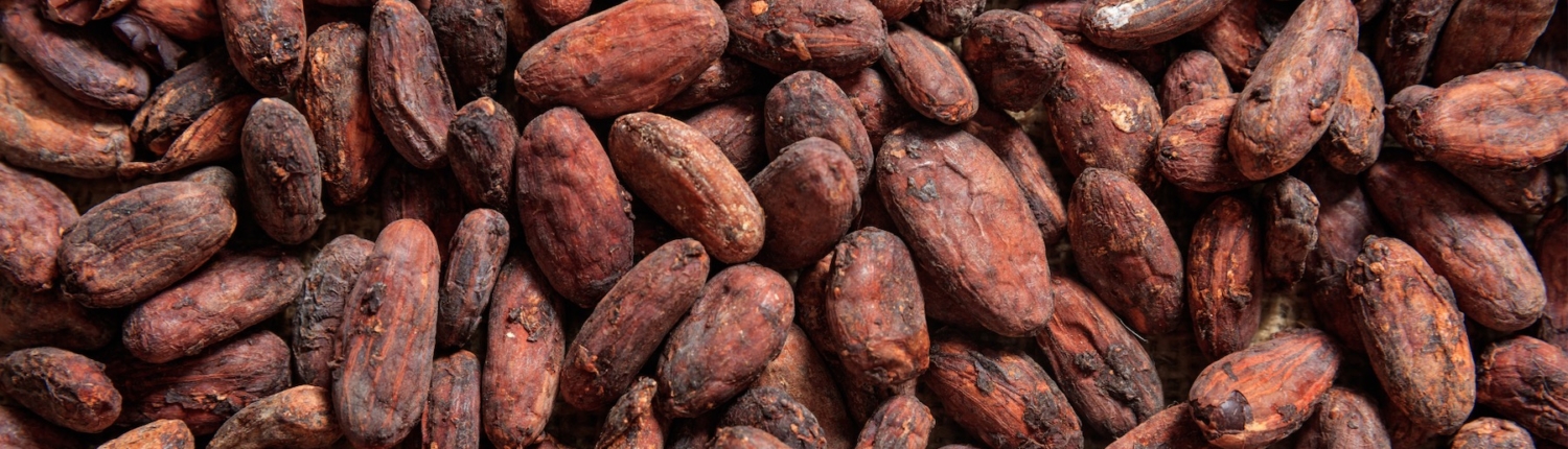 Cocoa Beans & Nibs