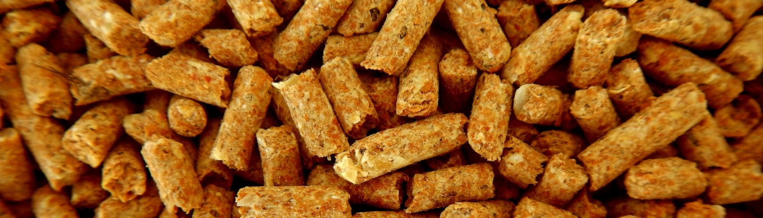 Feed Pellet