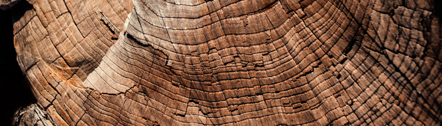 Wood